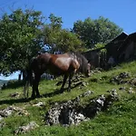 ホリデーパーク Zelenkovac *