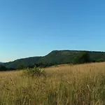 Zelenkovac *