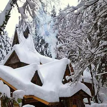 Zelenkovac Holiday park *
