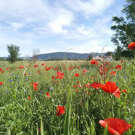 Prázdninový areál Zelenkovac Podrasnica
