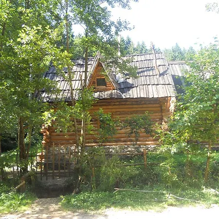Zelenkovac