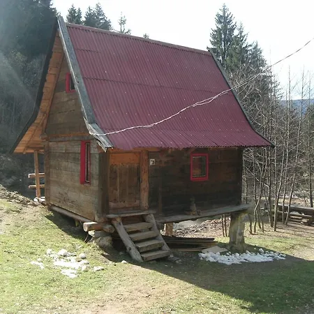 Zelenkovac