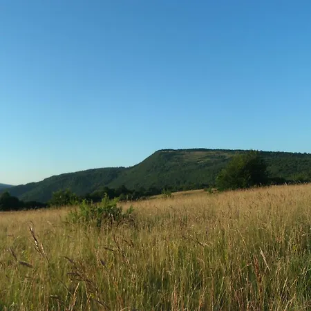 Zelenkovac *
